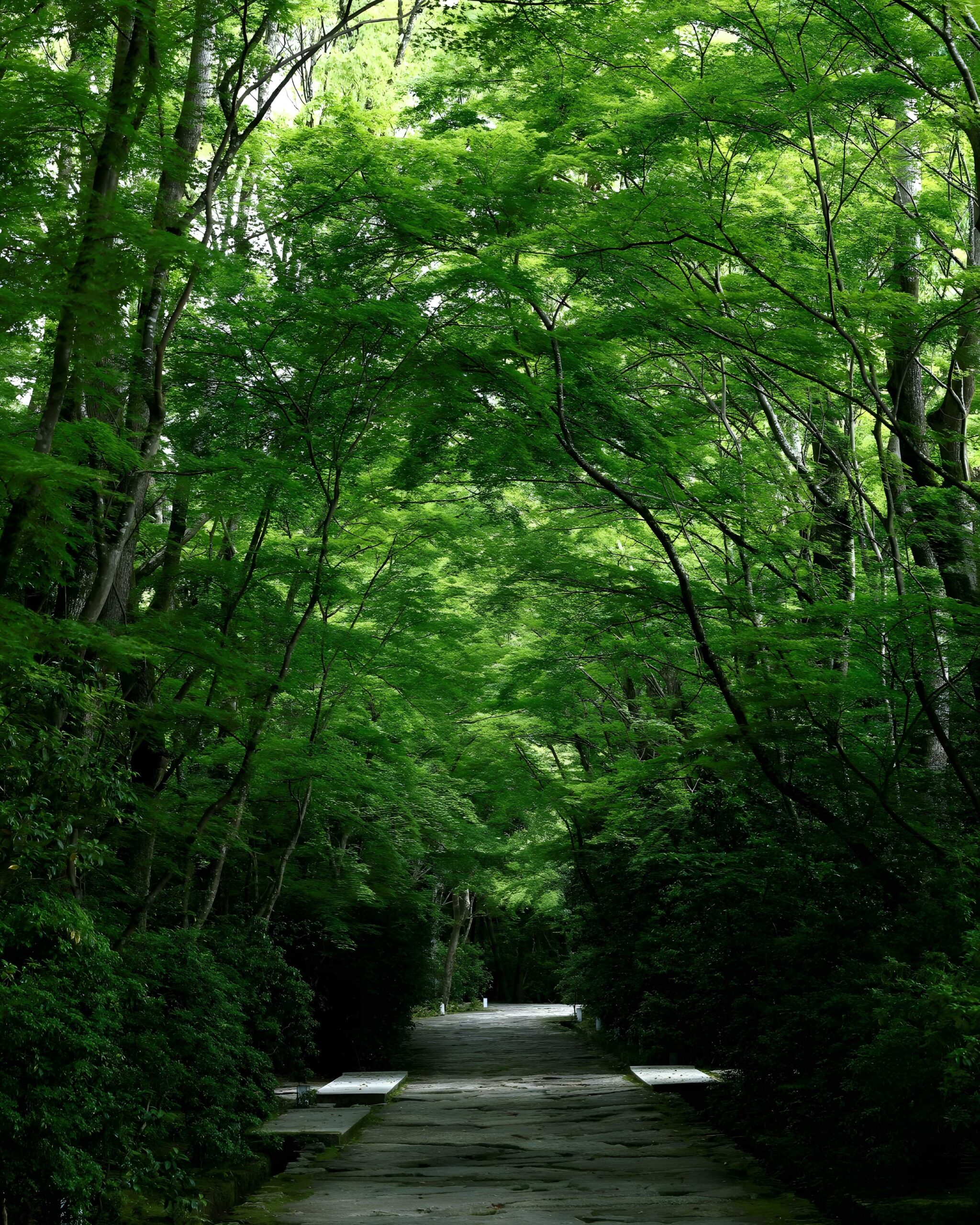 情绪空间-隐僻庭院中的禅意居所：安缦京都 Aman Kyoto