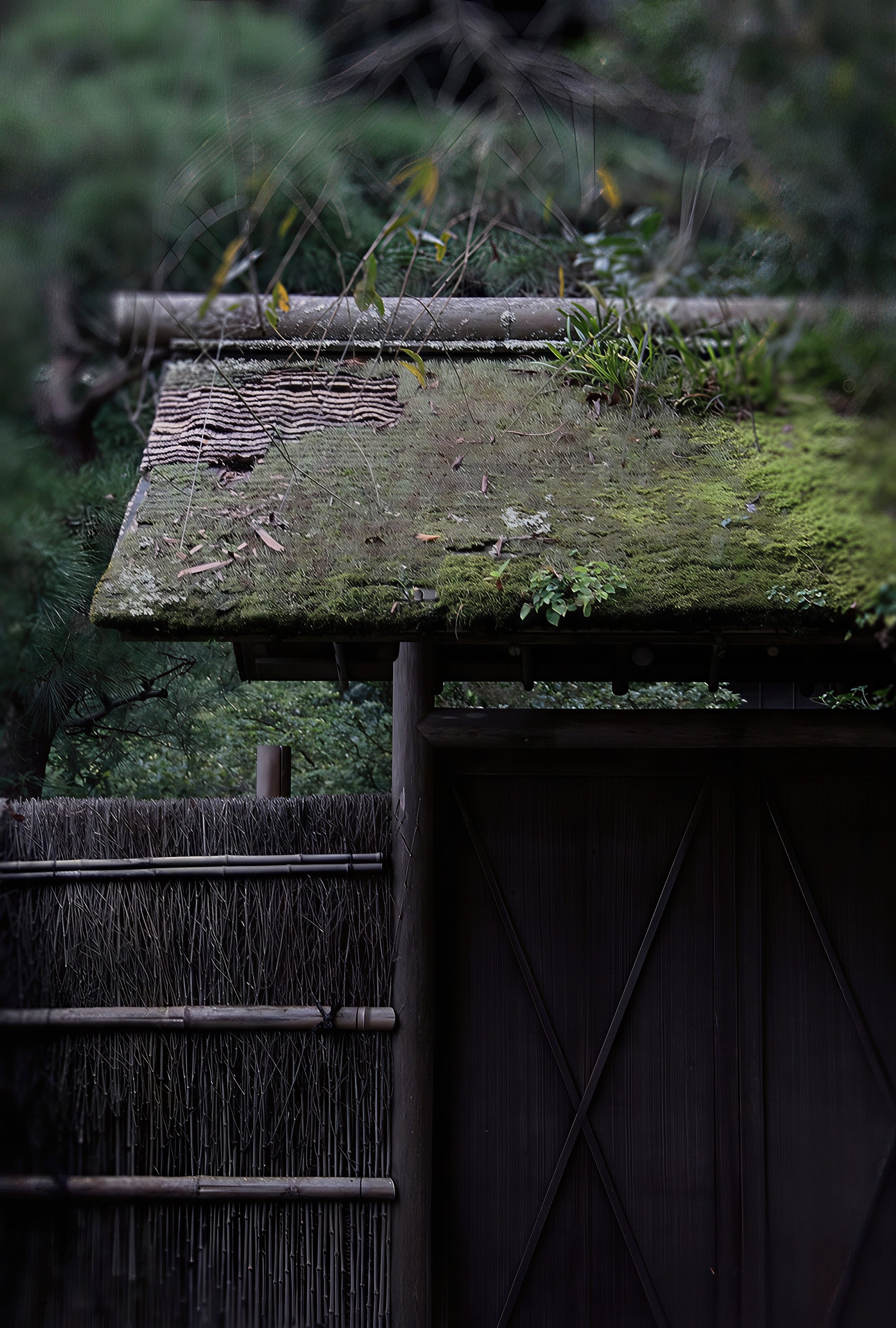 茶庭