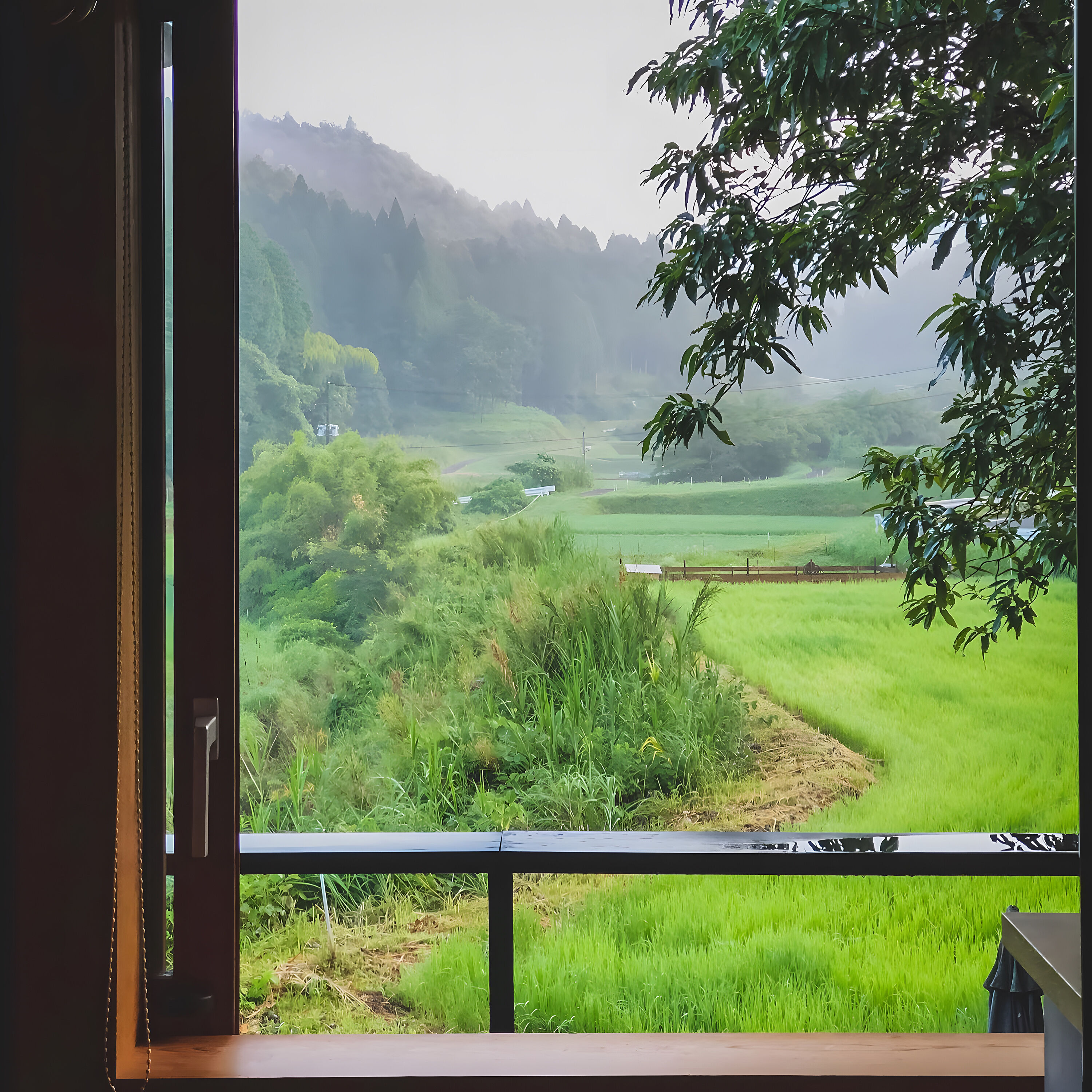 田园村居，岁月静好：简约朴素生活中的富足与满足